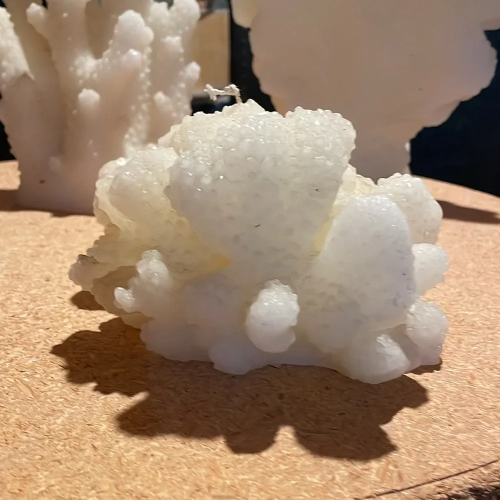 Pottery barn coral candle